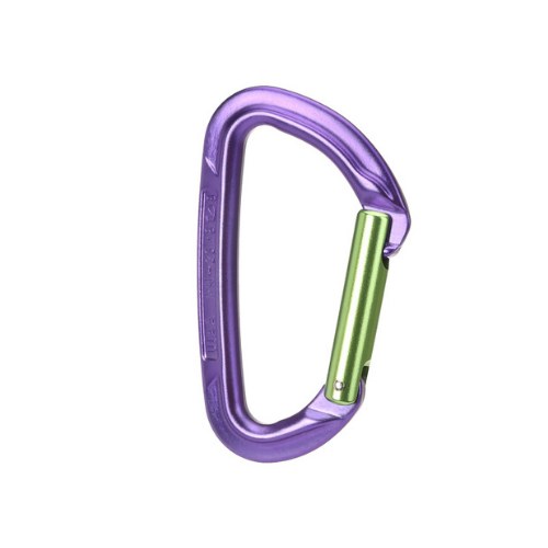 Session Straight Gate Carabiner