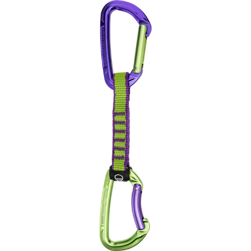 Session Quickdraw - Purple/Green