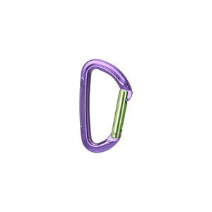 Session Straight Gate Carabiner
